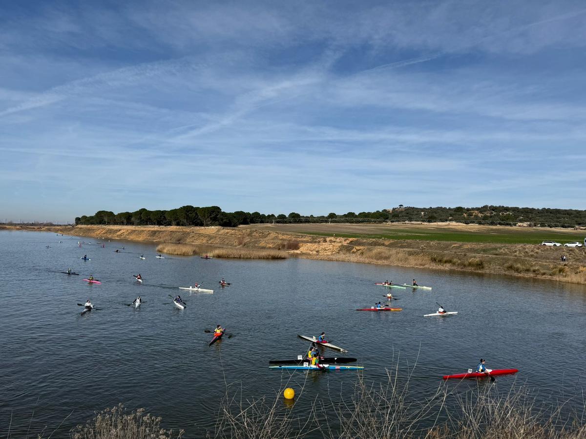 Imagen del canal de Monte La Reina