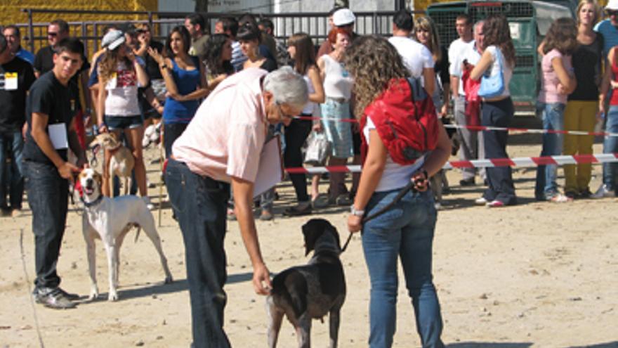 Ahigal introducirá importantes novedades en la Feria Nacional del Perro
