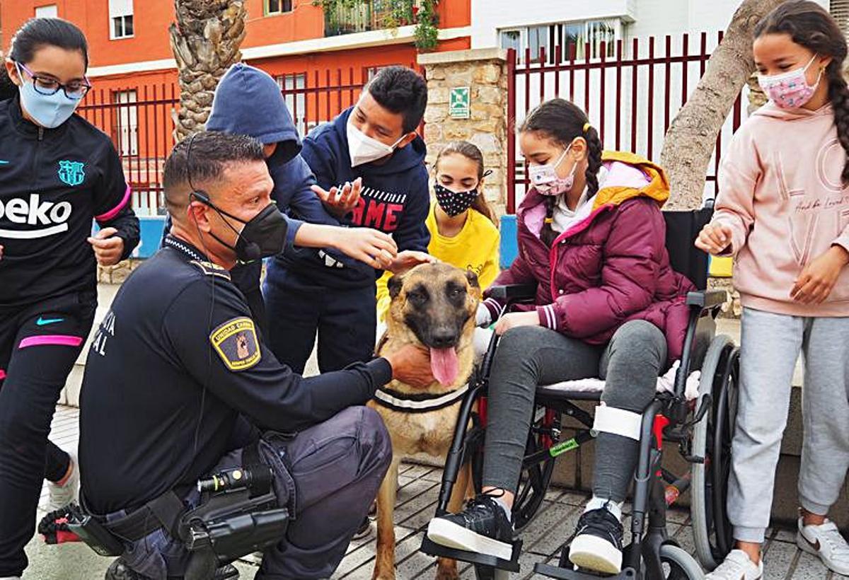 Visita de la Unidad Canina  de la Policía Local de Elche