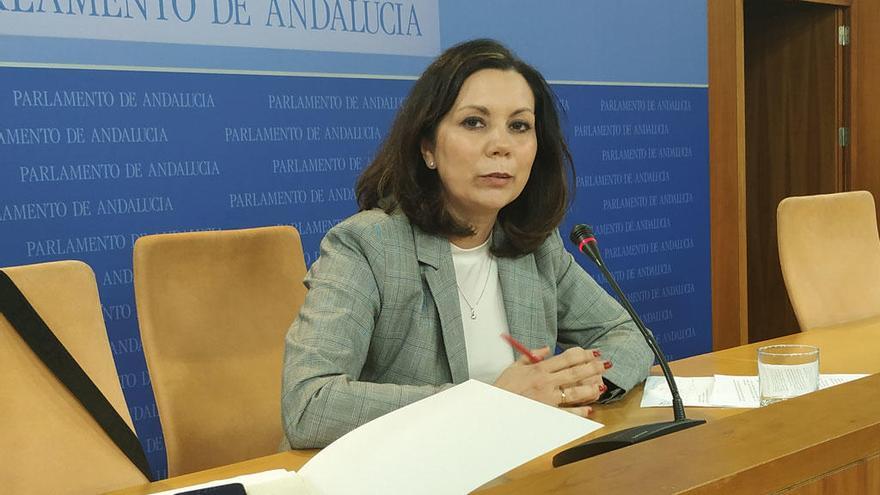 Ángela Mulas, diputada de Vox, este miércoles en rueda de prensa.