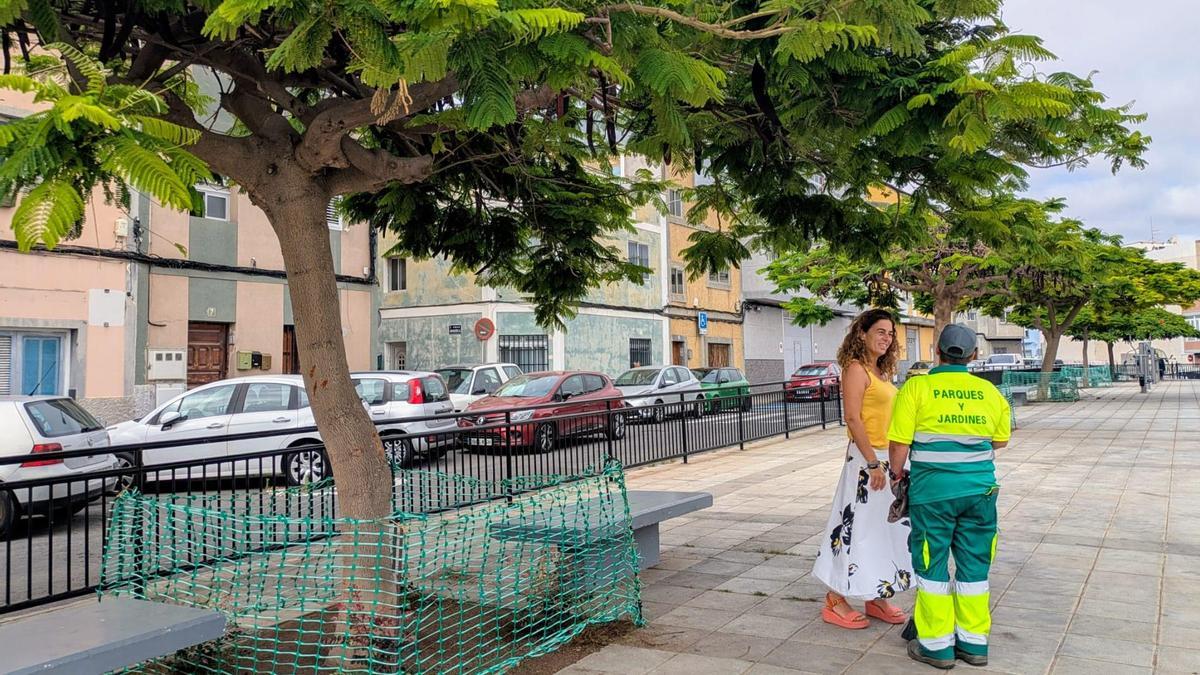 La concejala de Parques y Jardines, Gemma Martínez, habla con un jardinero en la plaza de la Ascensión, en Las Palmas de Gran Canaria.