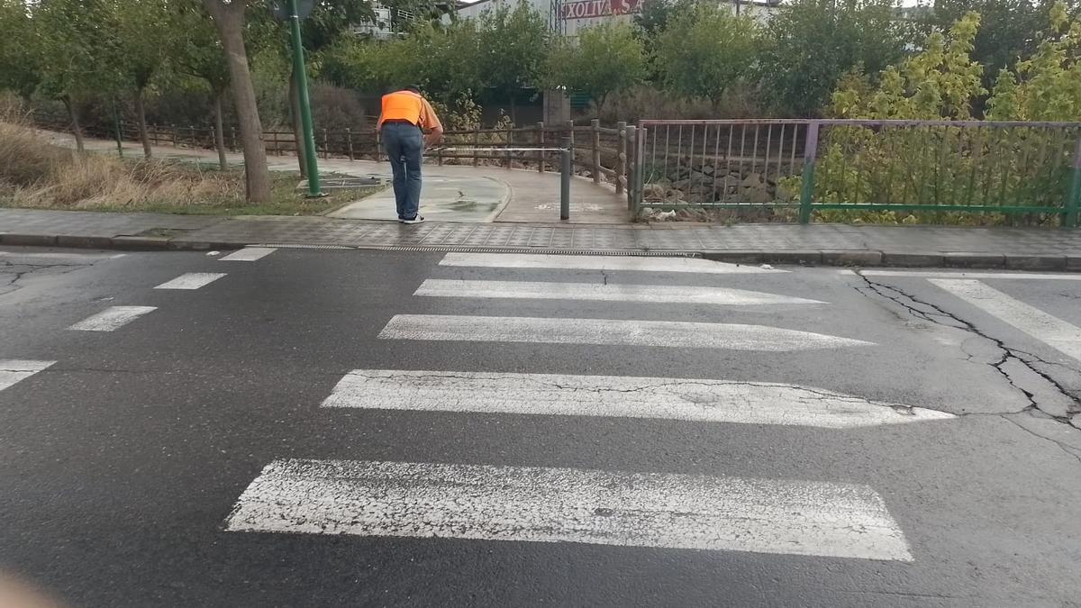 Cierre de uno de los paseos del Arroyo Niebla de Plasencia por la alerta por viento.