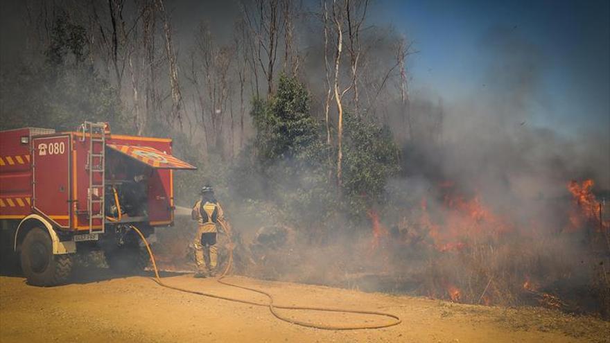 Arden 30 hectáreas de pasto y eucaliptos junto al COI