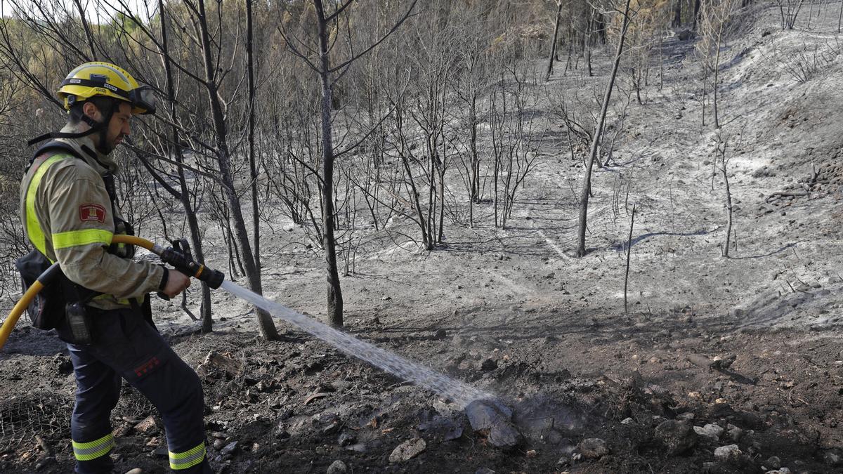 Les imatges de l'incendi de Ventalló i Vilopriu