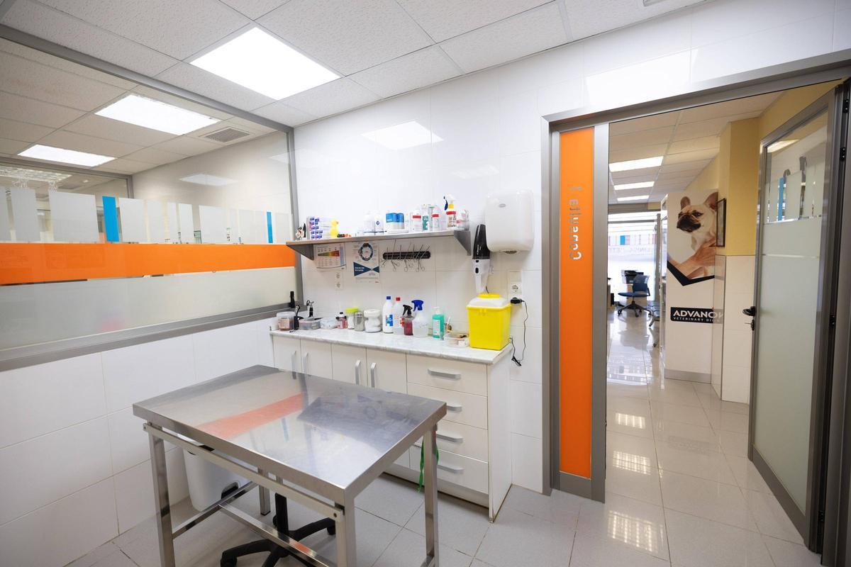 Interior de la Clínica Eivivet. Llevar al animal al veterinario es de importancia crítica