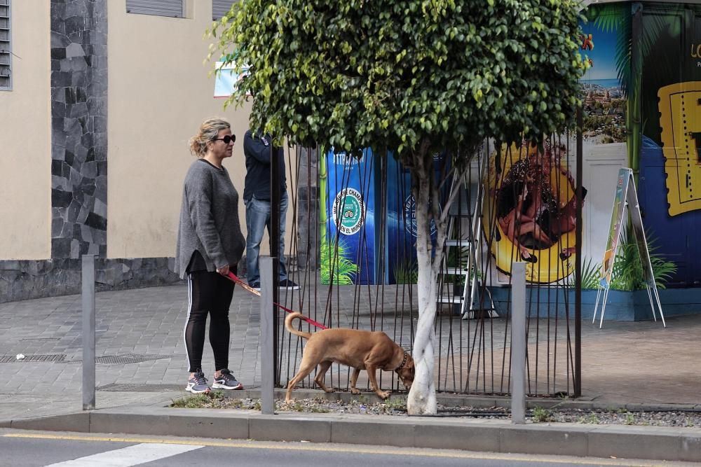 Reportaje: Gente con mascotas