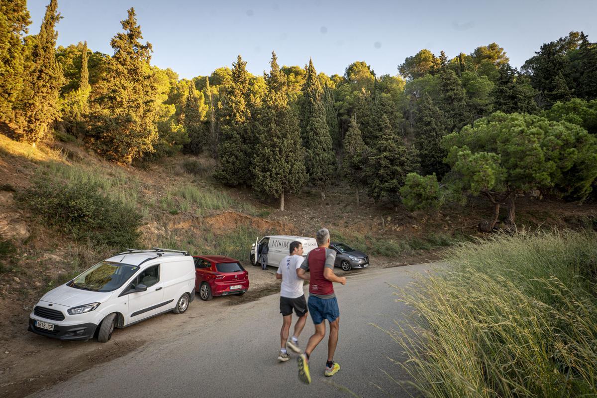 African swine fever Barcelona - Impact of African swine fever restrictions on mountain races near Barcelona.