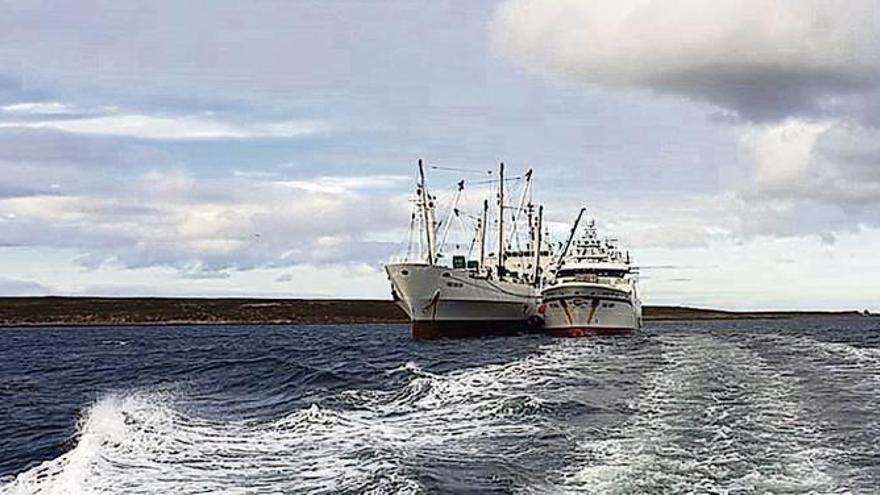 El &#039;Argos Cíes&#039; durante su primera descarga de calamar de la campala en Malvinas.