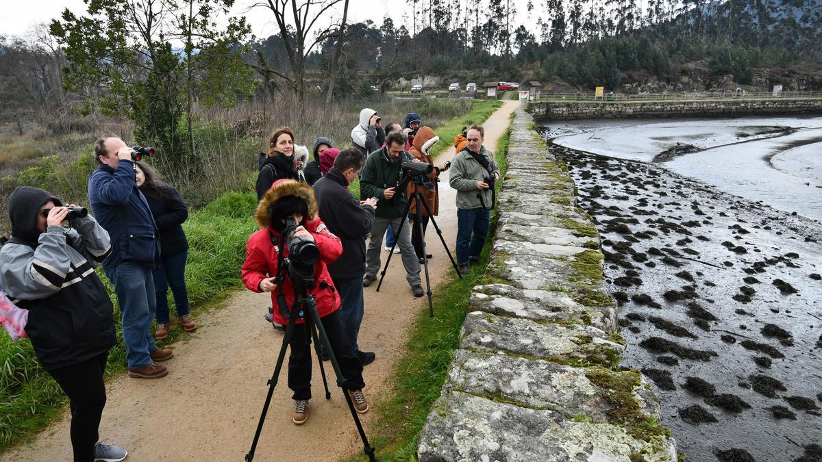 Observación ornitológica en las Salinas do Ulló