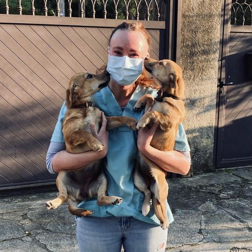 La veterinaria gondomareña, con dos de los perros que atiende a domicilio.