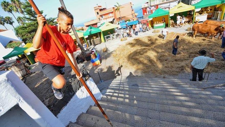 Tenerife destina cerca de 120.000 euros a cuatro ferias de artesanía