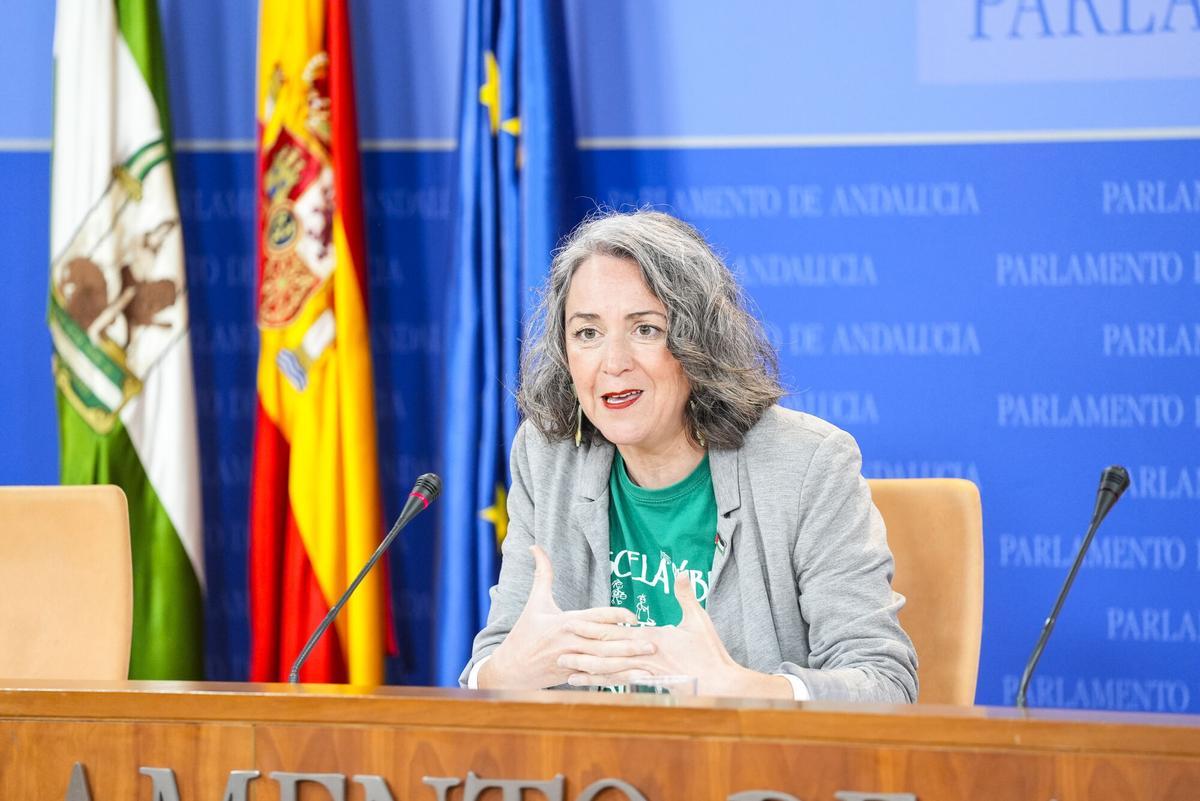 La portavoz adjunta del Grupo Mixto-AdelanteAndalucía, Begoña Iza, durante la ronda de ruedas de prensa de portavoces de los grupos parlamentarios en el Parlamento de Andalucía, a 25 de febrero de 2026 en Sevilla (Andalucía, España). Los portavoces de los grupos parlamentarios.
