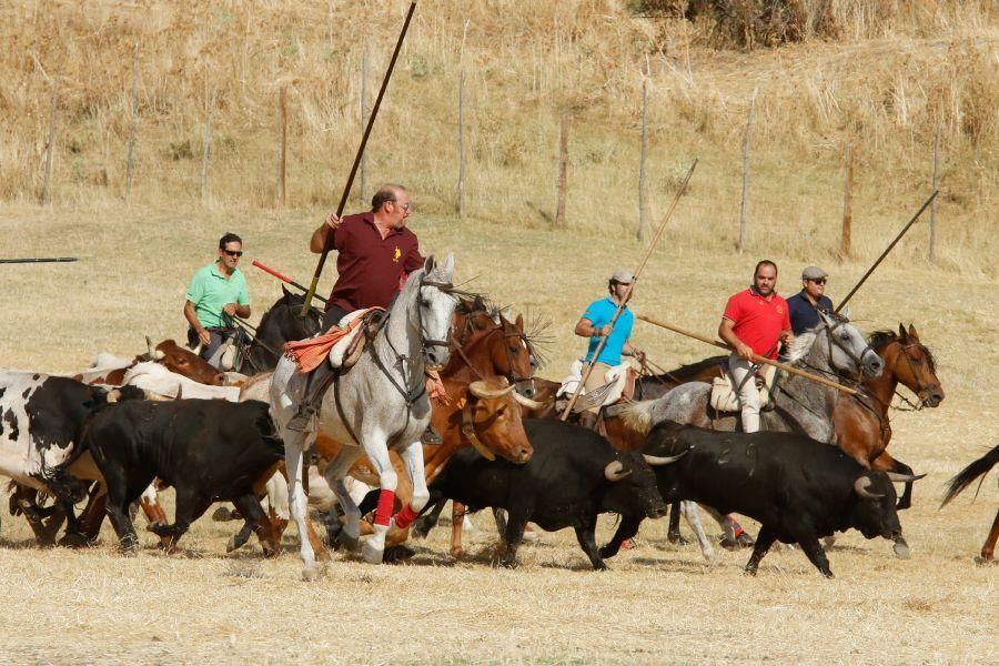 Fiestas en Zamora: Espantes en Fuentelapeña