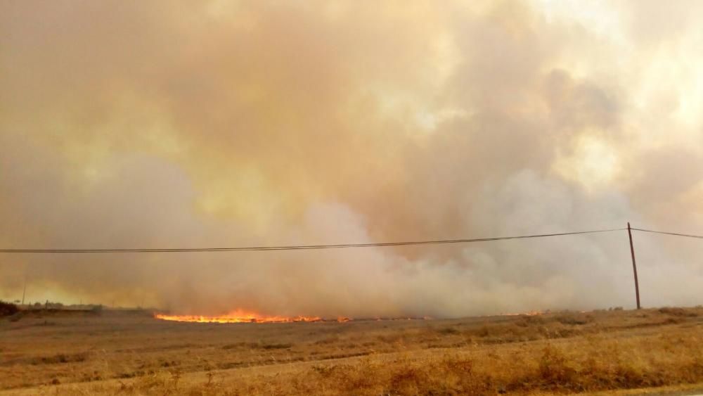 Fuego en Figueruela