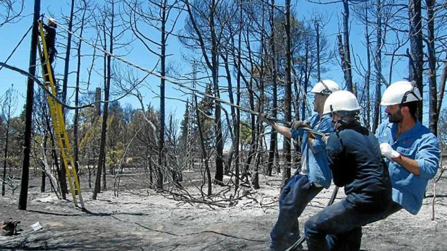 Tècnics d&#039;Endesa, reparant ahir una línia malmesa pel foc a Sant Feliu