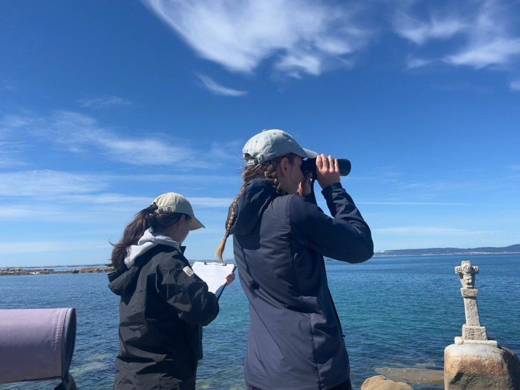 Biólogos, doctores y estudiantes del BDRI hacen un estrecho seguimiento de los mamíferos marinos en las rías de Vigo, Pontevedra y Arousa.