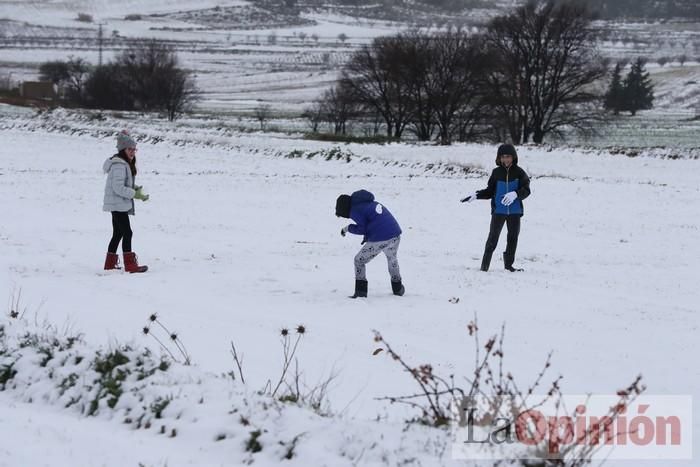 Nieve en Coy y Avilés (Lorca)