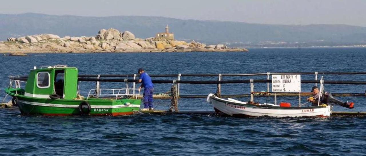 Una de las jaulas de cultivo de salmón instaladas en Arousa a finales de la década pasada. // Iñaki Abella