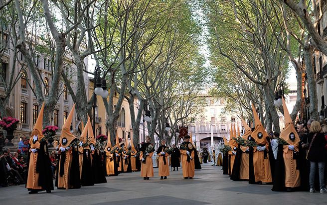 Todas las cofradías participan en la procesión del Domingo de Ramos, la cual empieza a las 18 horas en la Iglesia de Sant Jaume y finaliza en la entrada del convento de la Concepció.