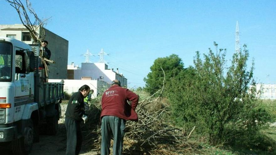 El plan de empleo agrícola reúne a 75 candidatos para 48 plazas de trabajo