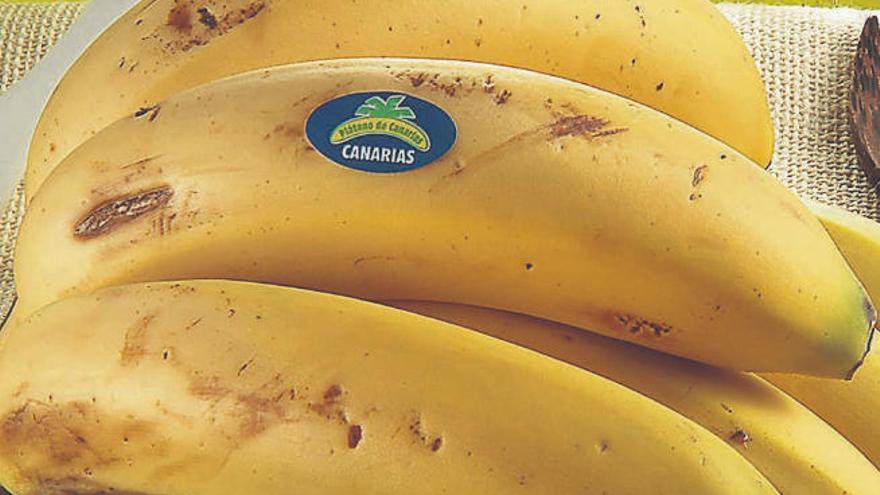 El plátano de Canarias, una de las frutas más completas y sabrosas que existen.