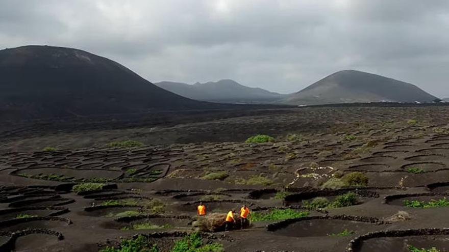 Lanzarote, a vista de pájaro