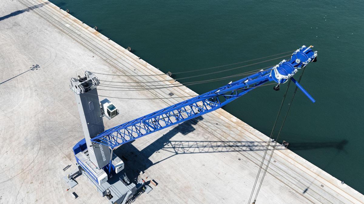 El Port de Tarragona incorpora una nueva grúa para manipular mercancías
