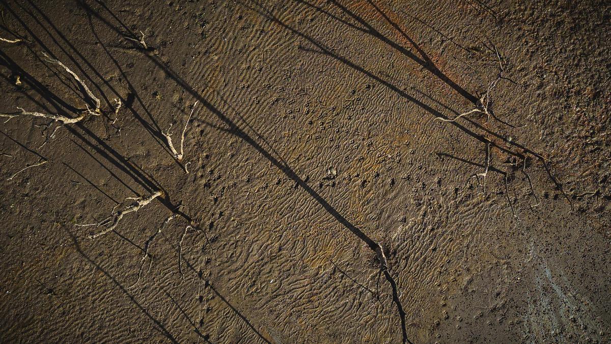 Galeria Imatges: la dramàtica situació del pantà de Dosrius Boadella a vista de dron