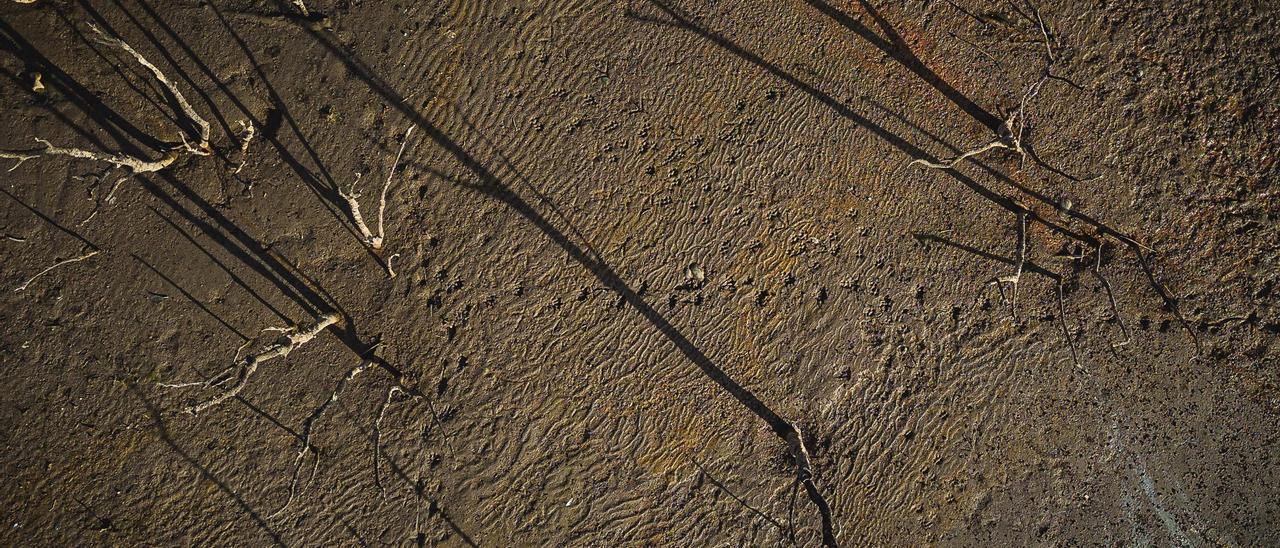 EN IMATGES | La dramàtica situació del pantà de Darnius - Boadella, a vista de dron