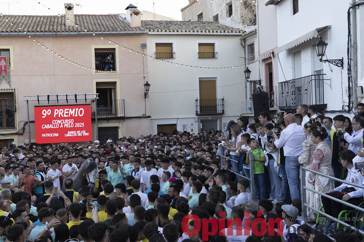 Fiestas de Caravaca | Entrega de premios del concurso morfológico