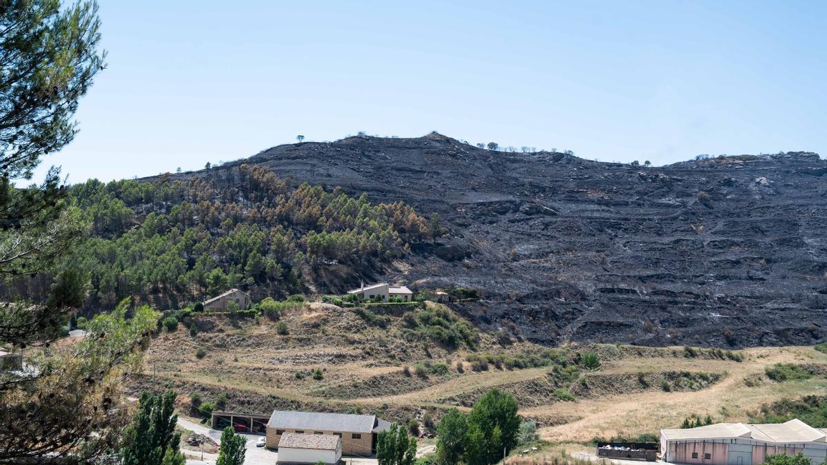 Los parajes en el entorno de Uncastillo han sido arrasados por el fuego.