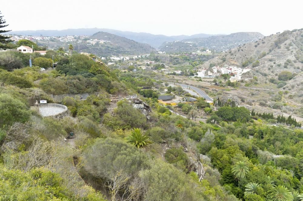 El Jardín Canario para evadirse del confinamiento