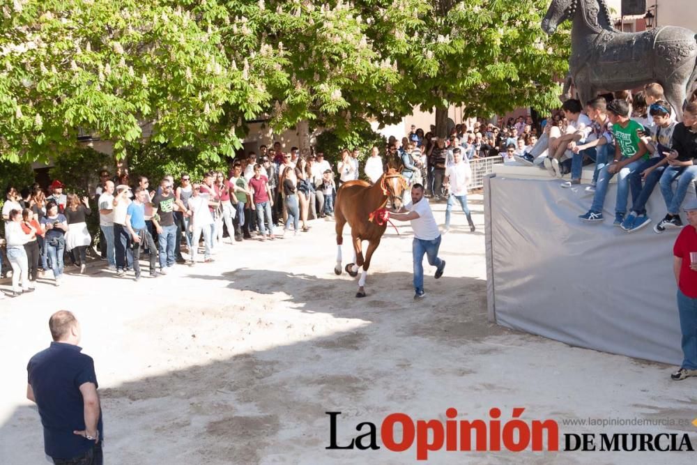 Día uno de mayo, entrada de caballos al Hoyo