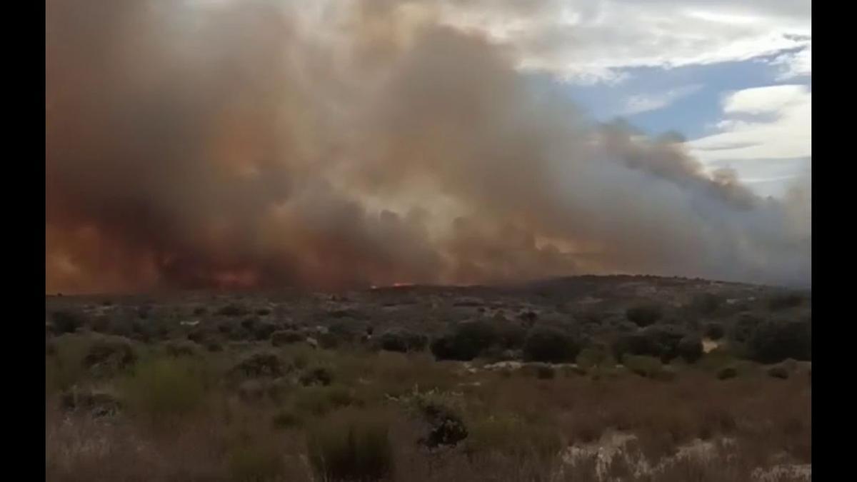 Incendio en Carbajosa de Alba, Zamora.