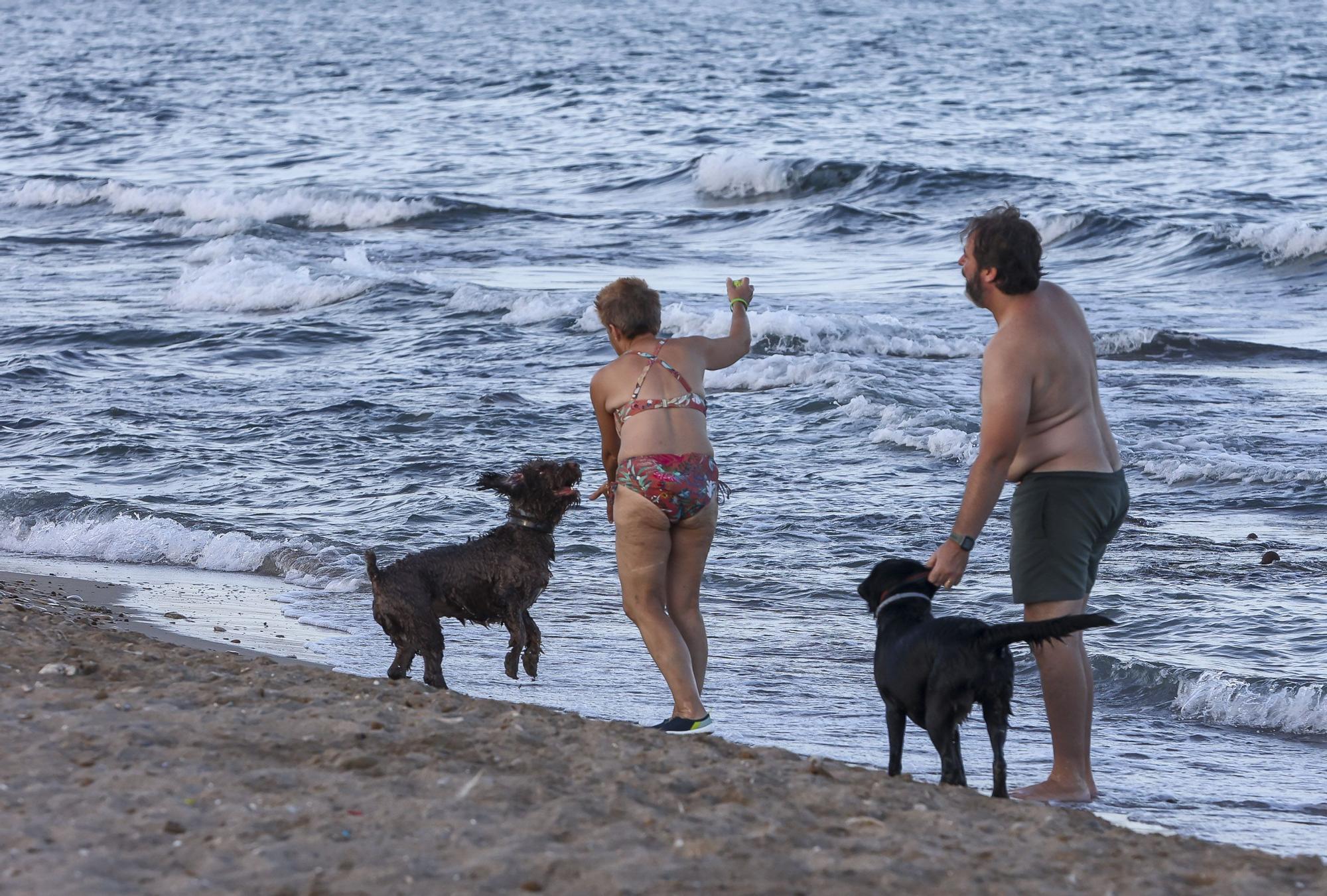 Protesta vecinal en contra del abandono del parque de perros de Aguamarga