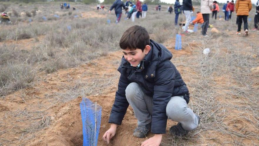 Finaliza la reforestación de la finca Los Alhagüeces