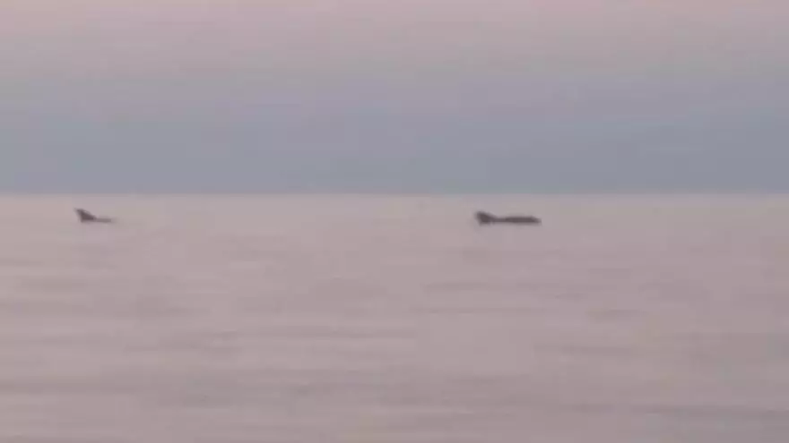 Una puesta de sol en Ibiza con delfines incluidos