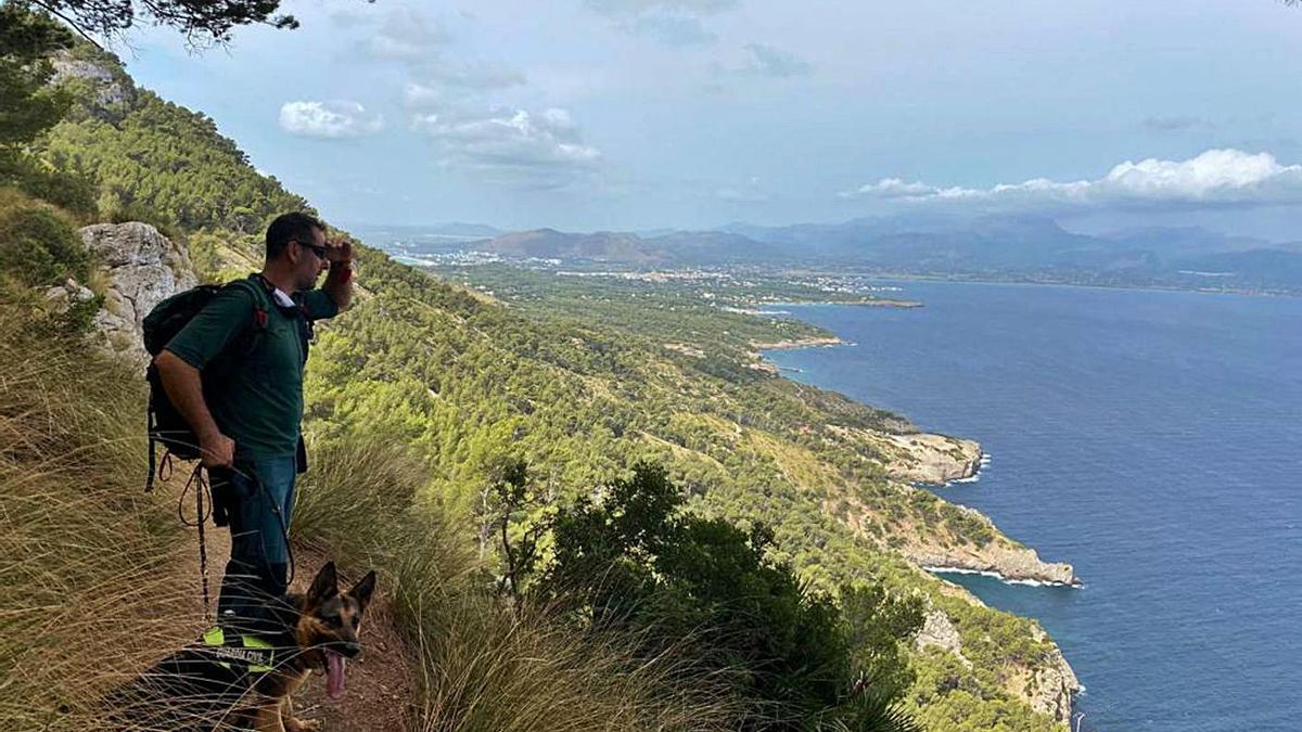 Un guardia civil, con otro de los perros adiestrados que participó en el operativo. | GUARDIA CIVIL