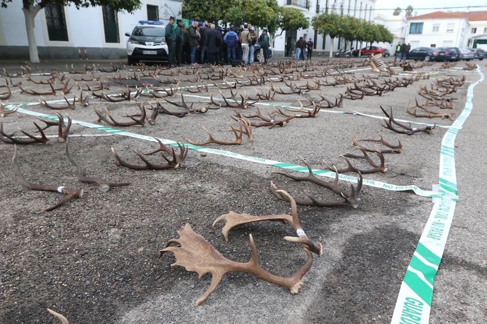 Los trofeos de la operación Fidelitas