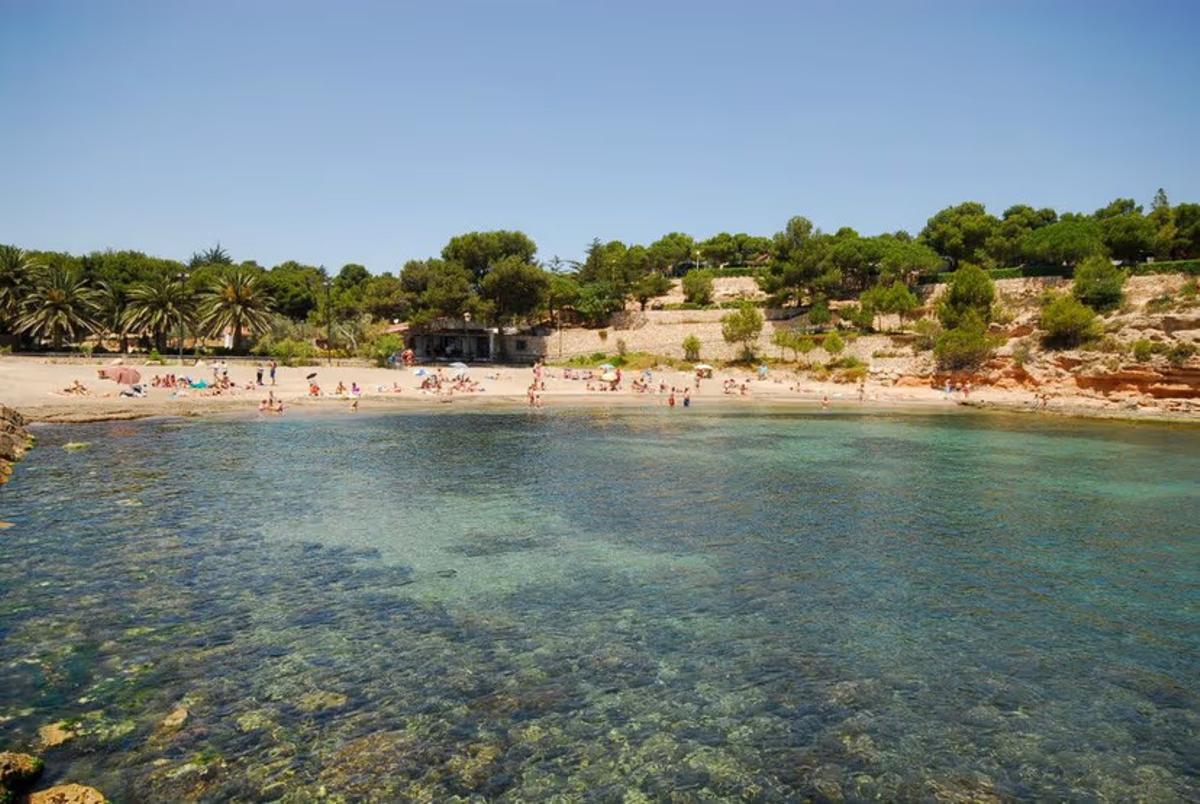Imagen de la Cala de Pixavacas