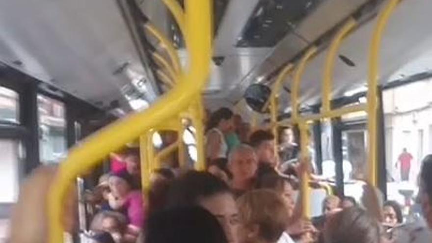 Usuarios de la línea 31 denuncian masificación en el bus y pasajeros que se quedan en tierra