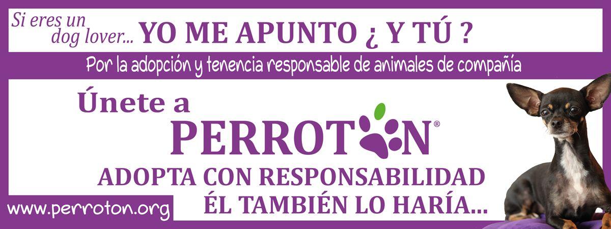 5º edición de Perrotón