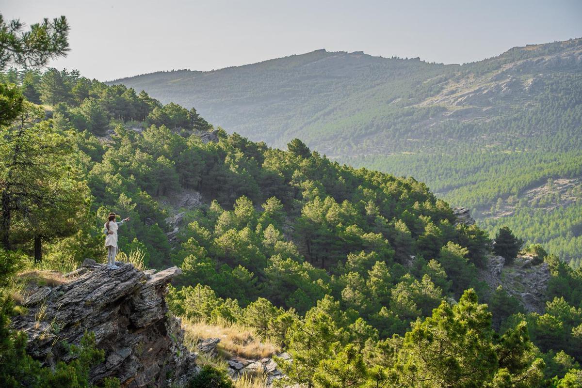 Sierra de Los Fialbres