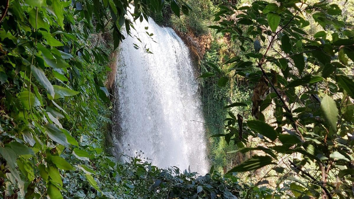 Riu Pedra, Monestir de Pedra Zaragoza