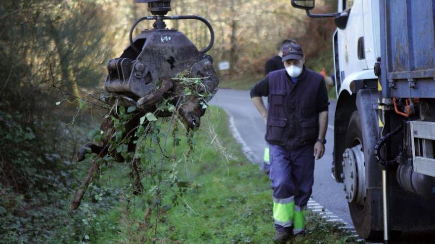 Encuentran más de una veintena de reses muertas entre A Estrada y Cuntis