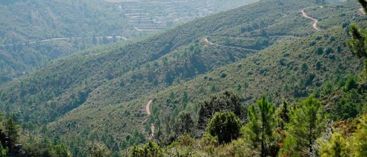 Zona en la que se instalaría la mina de arcilla en Bejís.