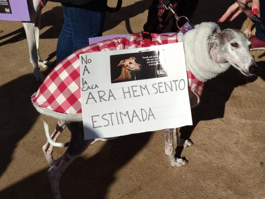 Manifestació contra la caça a Girona