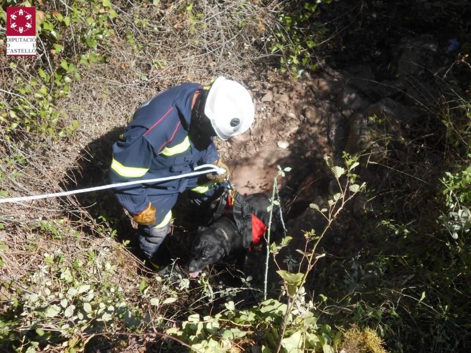 Los bomberos rescatan a un perro que cayó por un barranco en Eslida