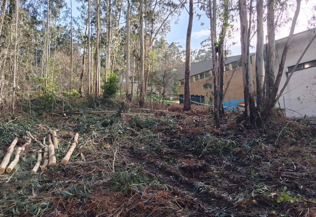 Ya se aprecia sobre el terreno que comenzó la tala alrededor del colegio de O Hío. |