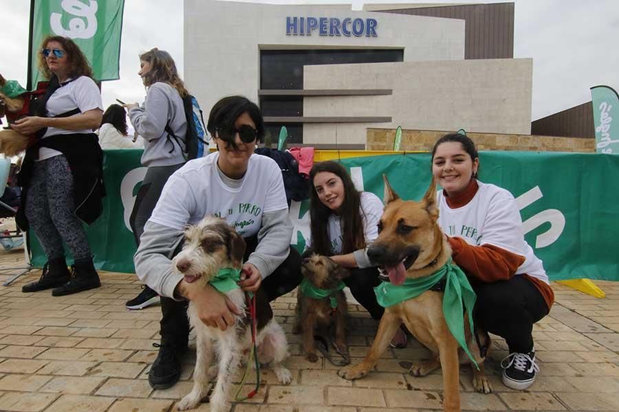 Una día muy perruno en la Canicross de Córdoba